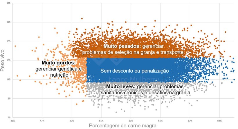 Figura 1: Os dados do frigorífico, combinados com outros dados, como nutrição, status sanitário, granja de reprodutoras etc., podem ajudar a identificar as causas da variação, bem como as medidas necessárias para resolvê-las.